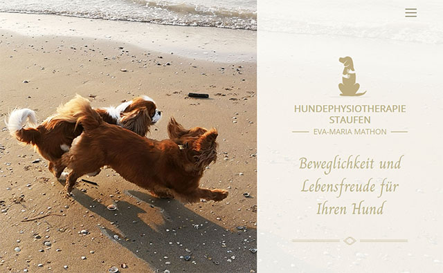 birke-webdesign-hundephysio-staufen